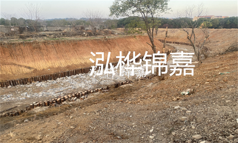 松木樁基礎(chǔ)施工電梯：提升施工效率，保護(hù)環(huán)境