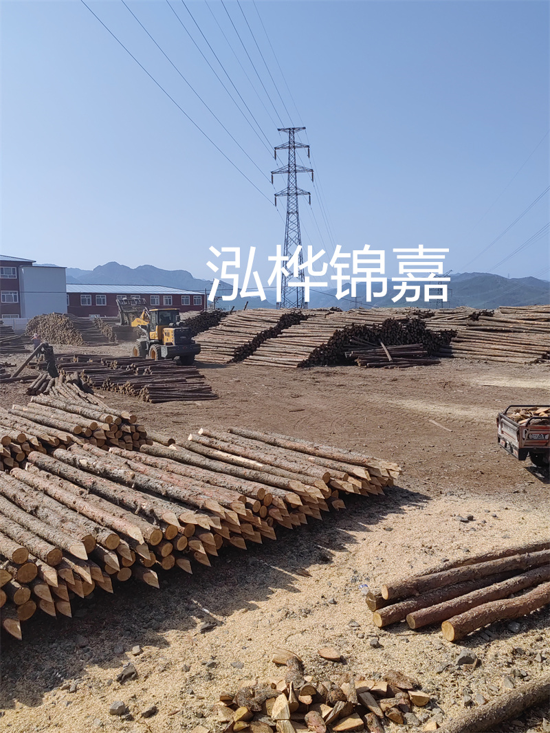 山東河道松木樁施工，保護生態(tài)環(huán)境